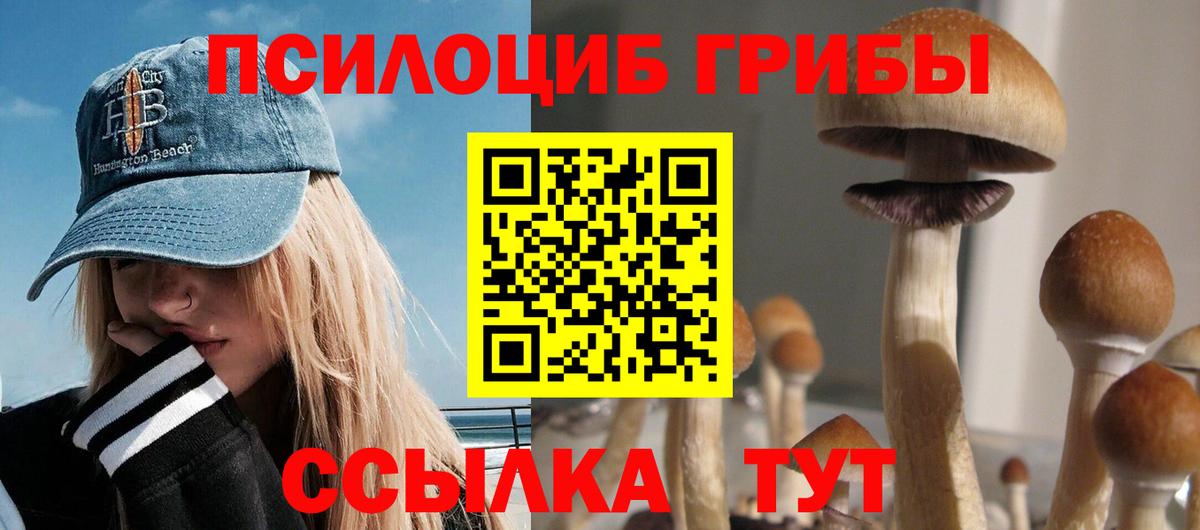 Псилоцибиновые грибы GOLDEN TEACHER Ливны
